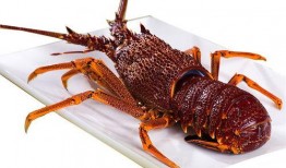 厦门龙虾爆料事件视频最新