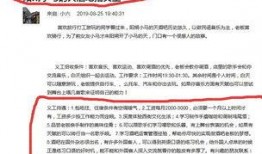 阳朔老板爆料最新消息,最新动态背后的惊人真相