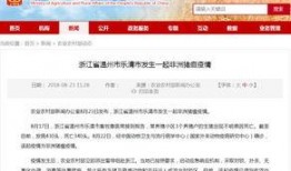 温州时刻爆料最新消息,揭秘重大事件背后真相